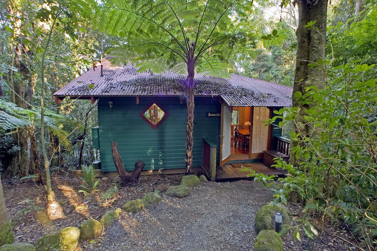 Springbrook Lyrebird Retreat — photo 3