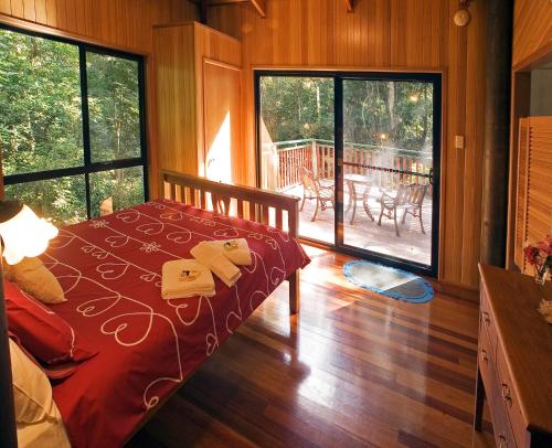 Springbrook Lyrebird Retreat — photo 4