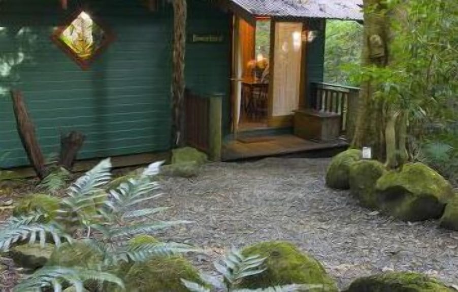 Springbrook Lyrebird Retreat — photo 5