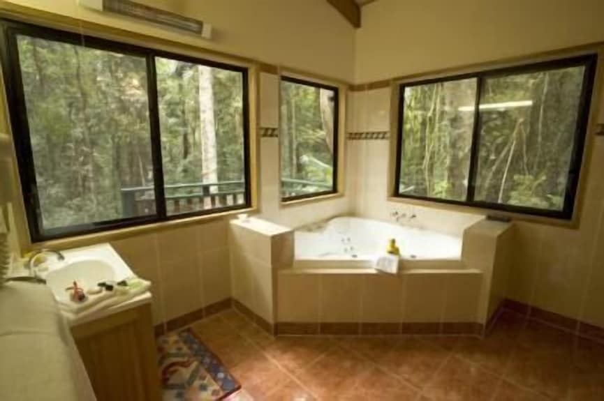 Springbrook Lyrebird Retreat — photo 9